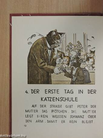 Der kleine Peter in der Katzenstadt