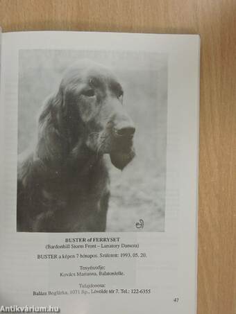 Angol vizsla retriever évkönyv 1993 (dedikált példány)