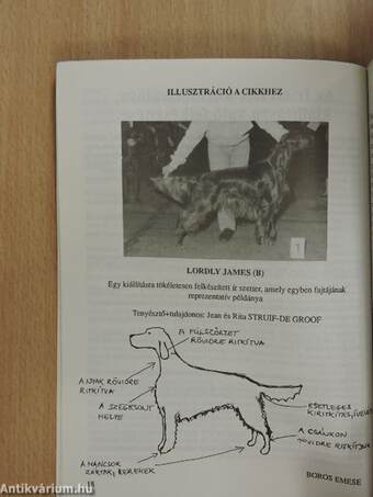 Angol vizsla retriever évkönyv 1993 (dedikált példány)