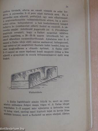 Angóranyúl tenyésztése, takarmányozása/Angóragyapjú fonása, feldolgozása