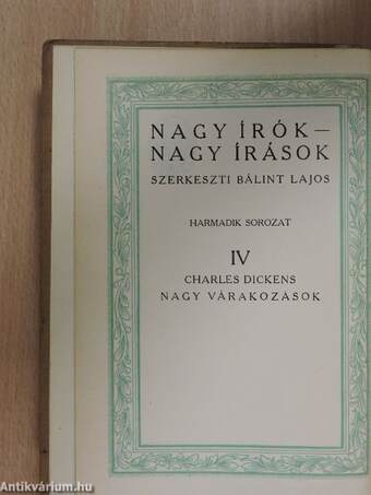 Nagy várakozások I-II.