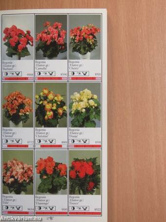 Potplanten/Pot Plants/Topfpflanzen/Plantes en pot/Piante da vaso/Planta en particular 1989/90