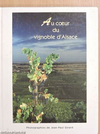 Au coeur du vignoble d'Alsace