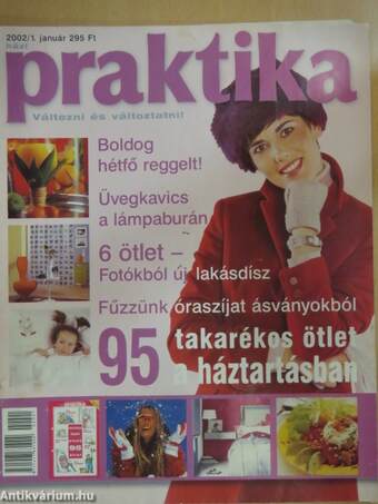 Praktika 2002. január