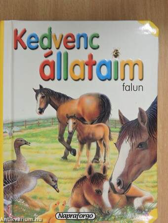 Kedvenc állataim falun