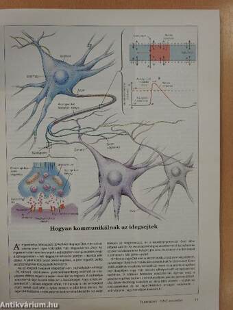 Tudomány 1992. november