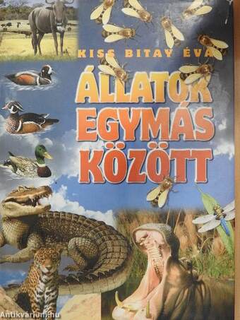 Állatok egymás között