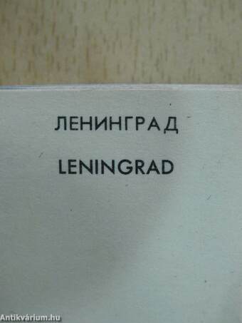 Leningrad (minikönyv)