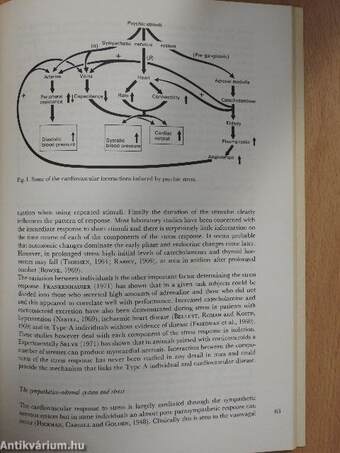 A therapeutic approach to the psyche via the beta-adrenergic system