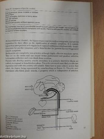 A therapeutic approach to the psyche via the beta-adrenergic system