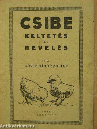 Csibe keltetés és nevelés