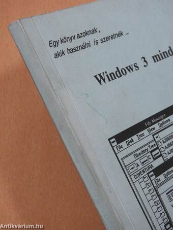 Windows 3 mindenkinek