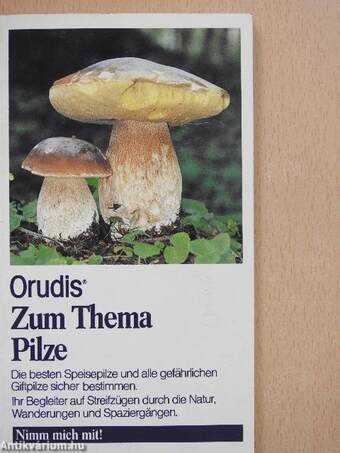 Zum Thema Pilze