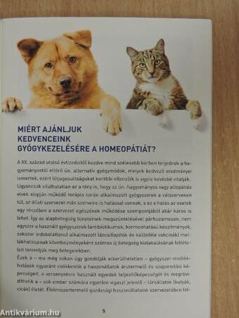 "Kutyabaj és macskajaj" homeopátiás kezelése