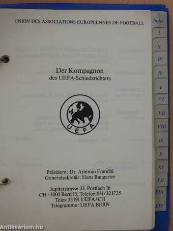 Der Kompagnon des UEFA-Schiedsrichters