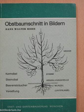 Obstbaumschnitt in Bildern