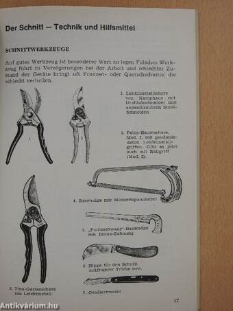 Obstbaumschnitt in Bildern