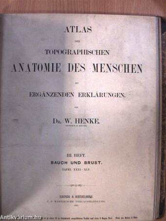 Atlas der Topographischen Anatomie des Menschen I-IV. (töredék)