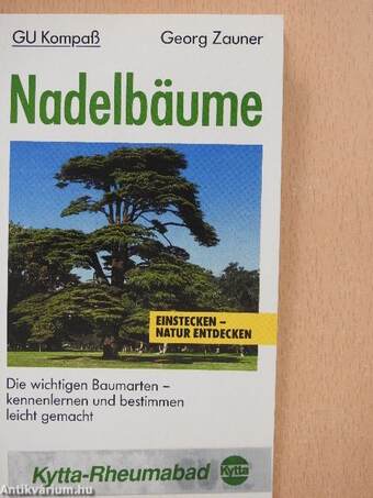 Nadelbäume