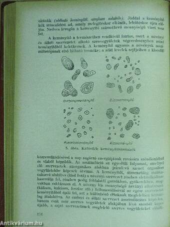 Vegyszerismeret I-II.