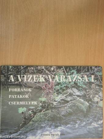 A vizek varázsa I.