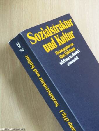 Sozialstruktur und Kultur