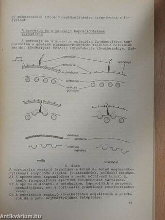 Embryologia