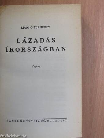 Lázadás Írországban