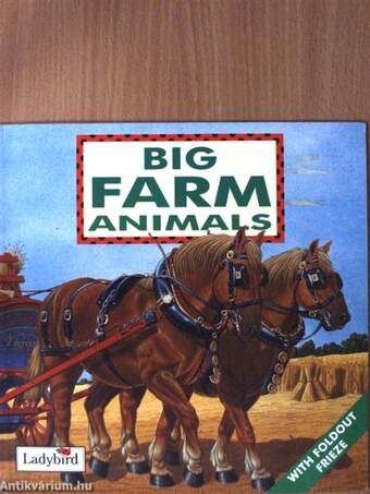 Big Farm Animals
