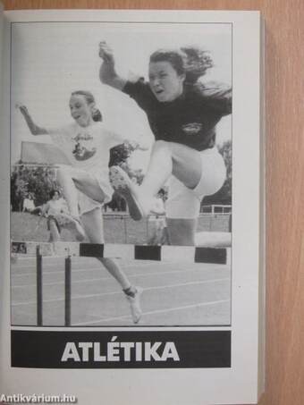 Zala megye sportévkönyve 1996