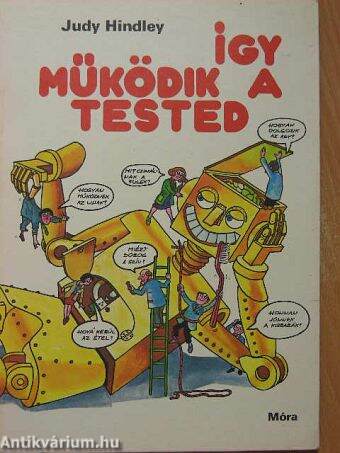 Így működik a tested