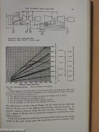 Steam Turbine Performance and Economics