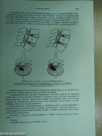 Gyakorlati sebészet II. (töredék)