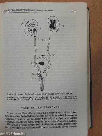 A gyakorló orvos enciklopédiája III. (töredék)