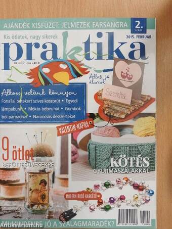 Praktika 2015. február