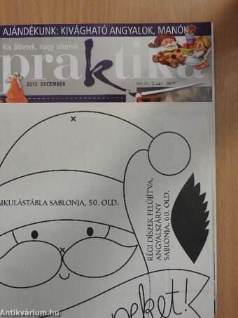 Praktika 2013. december