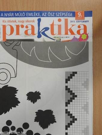 Praktika 2013. szeptember