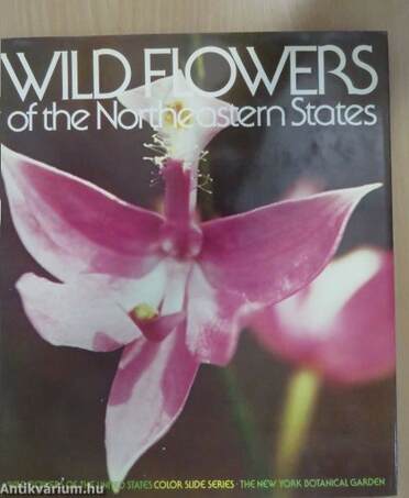 Wild Flowers of the Northeastern States