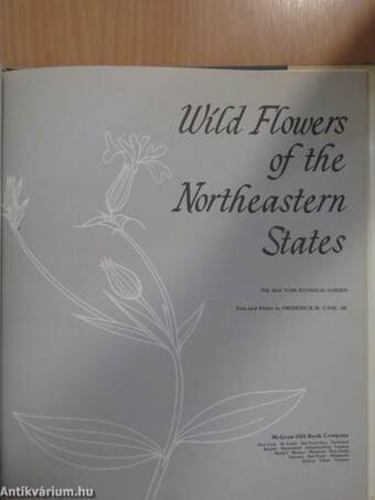 Wild Flowers of the Northeastern States