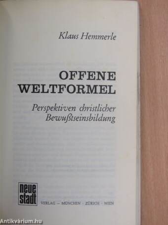 Offene Weltformel