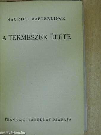 A termeszek élete