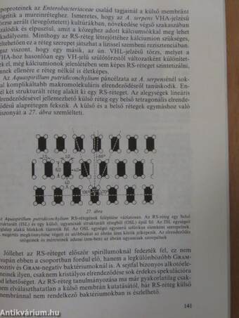 A bioszféra mikrobiológiája I-II. (töredék)