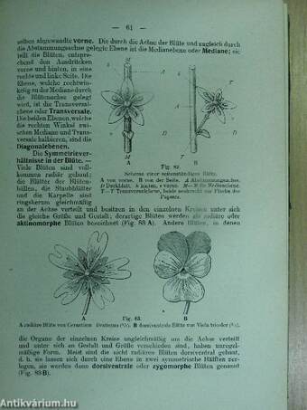 Lehrbuch der Botanik