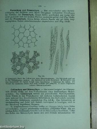 Lehrbuch der Botanik