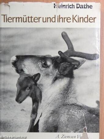 Tiermütter und ihre Kinder