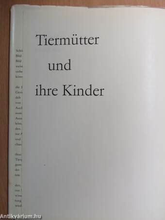 Tiermütter und ihre Kinder