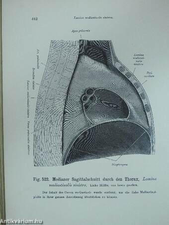 Atlas der deskriptiven anatomie des menschen II.