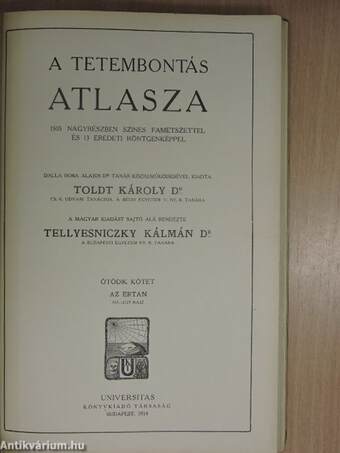 Toldt - A tetembontás atlasza V.