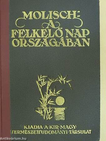 A felkelő nap országában