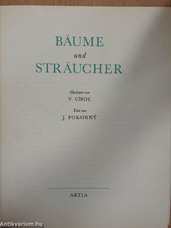 Bäume und Sträucher